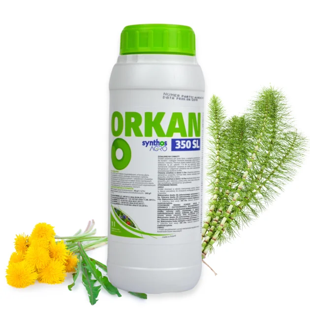ORKAN 350 SL 1L ŚRODEK NA CHWASTY SKRZYP POLNY MNISZEK LEKARSKI PERZ OPRYSK