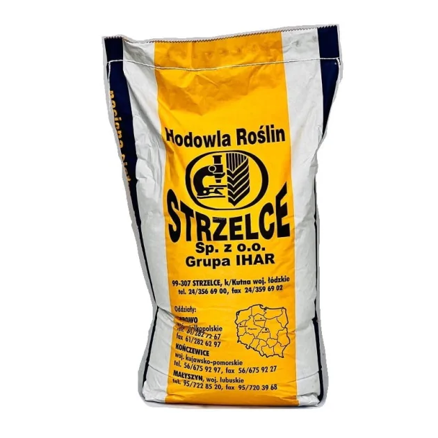 Pszenżyto ozime Meloman C1