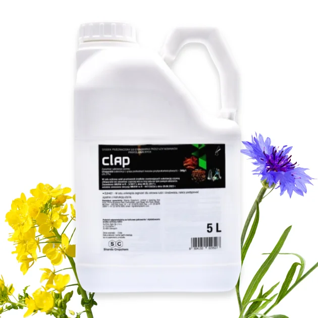 CLAP 5L Herbicyd Koncentrat Środek na chwasty dwuliścienne rzepak żyto len
