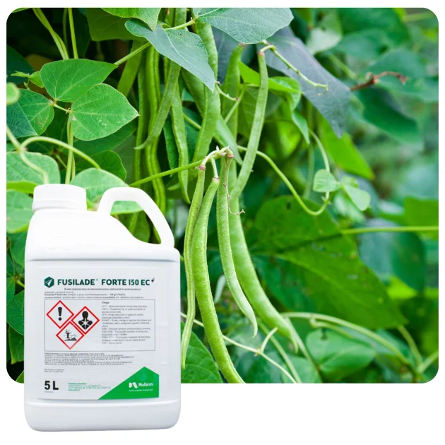 Środek na chwasty FUSILADE FORTE 150 EC 5L Herbicyd selektywny na perz