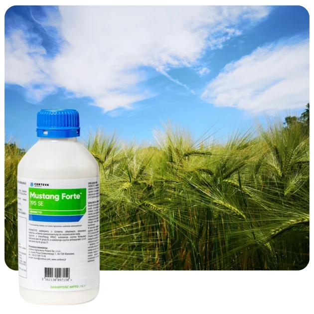 Środek na chwasty MUSTANG FORTE 195 SE 1L Herbicyd selektywny do zbóż