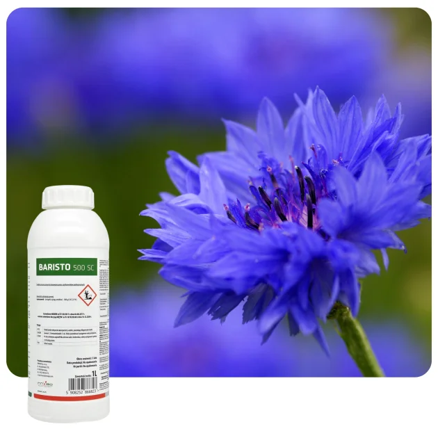 Środek na chwasty BARISTO 500 SC 1L herbicyd napropamid rzepak kapusta