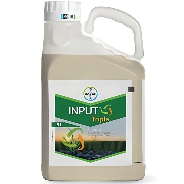INPUT TRIPLE 5L