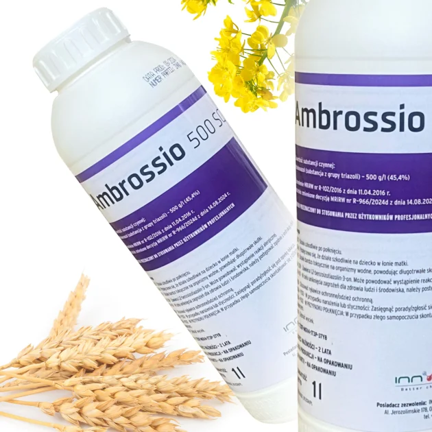 Środek grzybobójczy AMBROSSIO 500 SC 1L Fungicyd tebukonazol do rzepaku