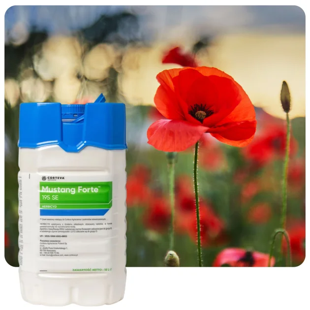 Środek na chwasty MUSTANG FORTE 195 SE 15L Herbicyd selektywny do zbóż
