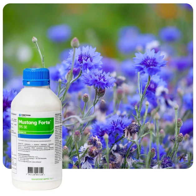Środek na chwasty MUSTANG FORTE 195 SE 1L Herbicyd selektywny do zbóż
