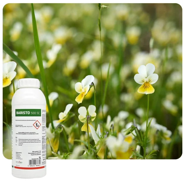 Środek na chwasty BARISTO 500 SC 1L herbicyd napropamid rzepak kapusta