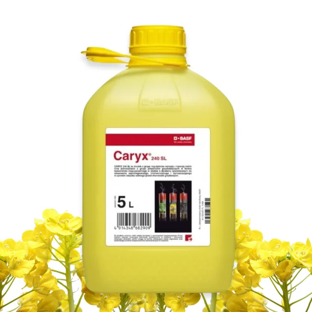 Caryx 240 SL 5L fungicyd środek grzybobójczy regulator wzrostu rzepak ozimy