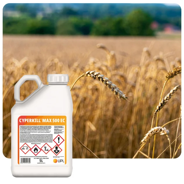 Środek owadobójczy CYPERKILL MAX 500 EC 5L Insektycyd cypermetryna