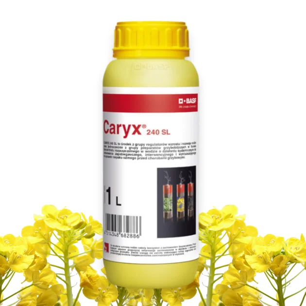 Caryx 240 SL 1L fungicyd środek grzybobójczy regulator wzrostu rzepak ozimy