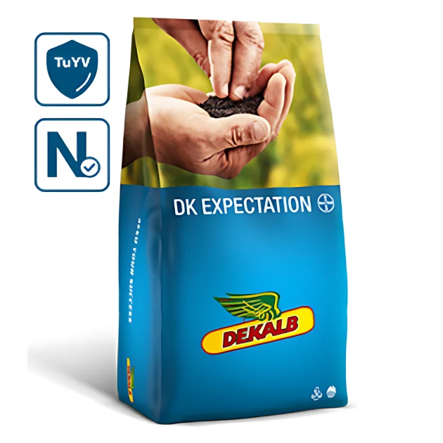 Rzepak ozimy DK EXPECTATION