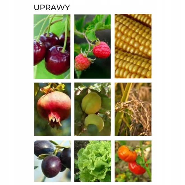 Azocor 105 25 kg- nawóz organiczny wióry rogowe, panele roślinne azot 11%