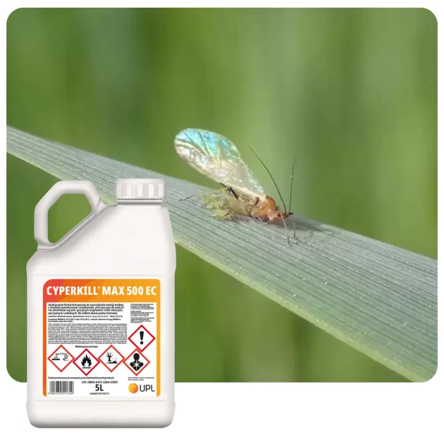 Środek owadobójczy CYPERKILL MAX 500 EC 5L Insektycyd cypermetryna