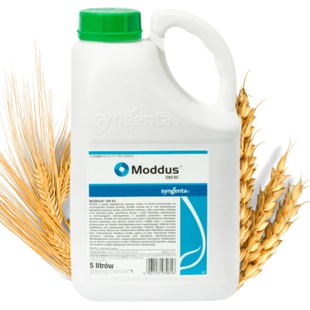 Regulator wzrostu zbóż MODDUS 250 EC 5L zboża ozime i jare koncentrat