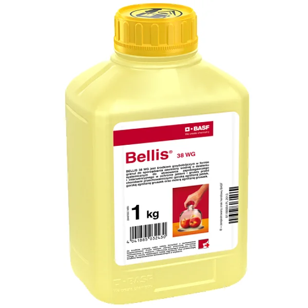 BELLIS 38 WG 1kg