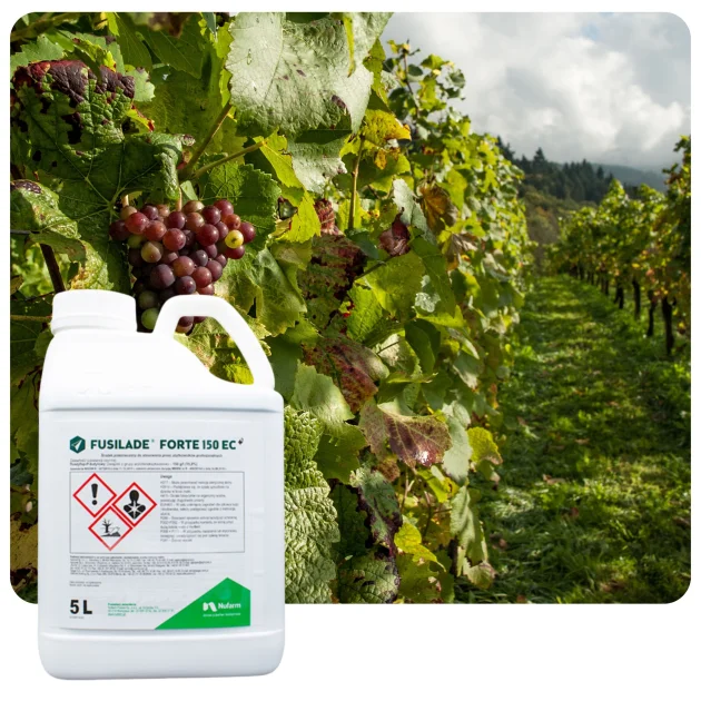 Środek na chwasty FUSILADE FORTE 150 EC 5L Herbicyd selektywny na perz
