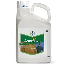 ASCRA XPRO 260 EC 5L