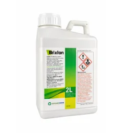 BRIXTON 2L