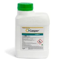 CASPER 55 WG 0,3KG