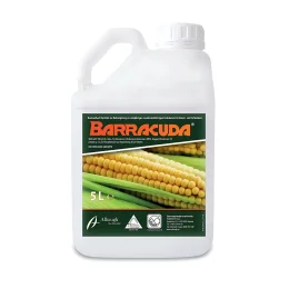 BARRACUDA 5L