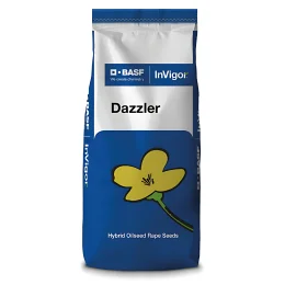 Rzepak ozimy InVigor Dazzler